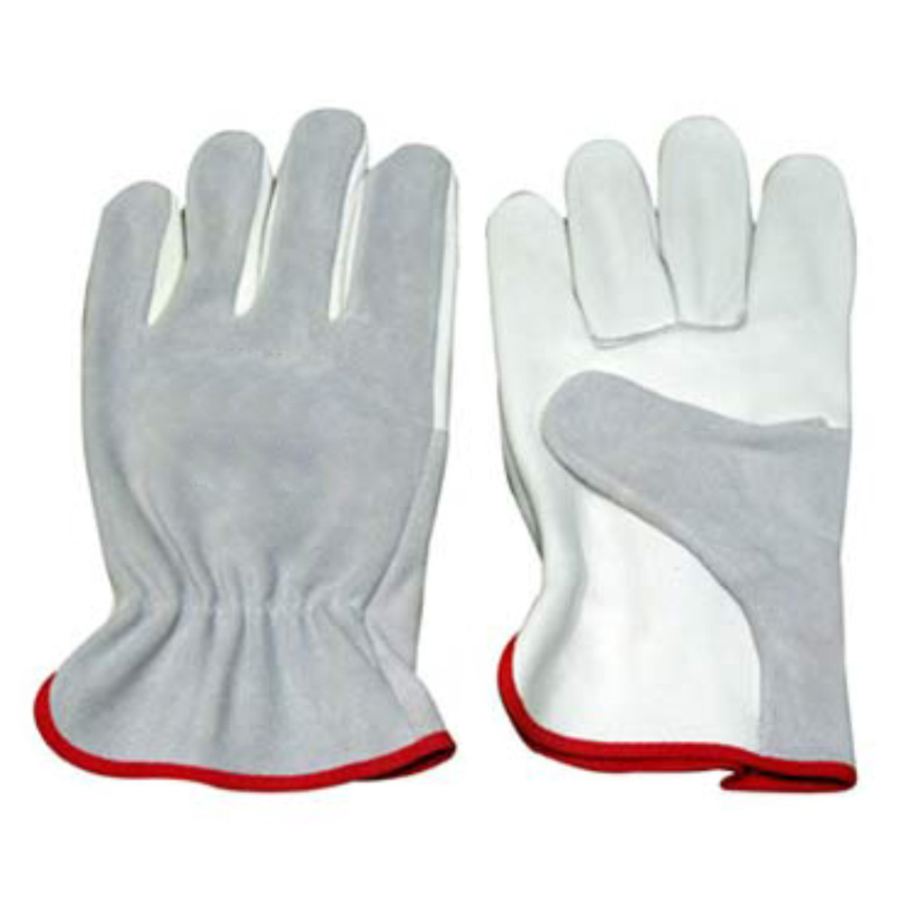 Dressing Gloves