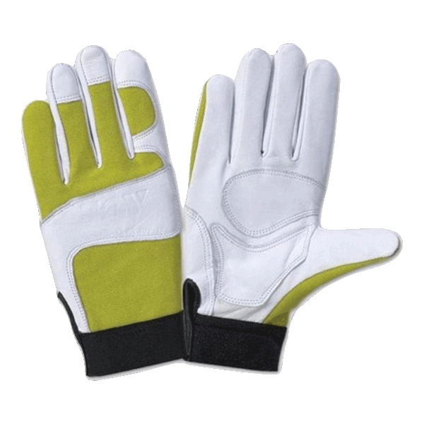 Reger  Gloves