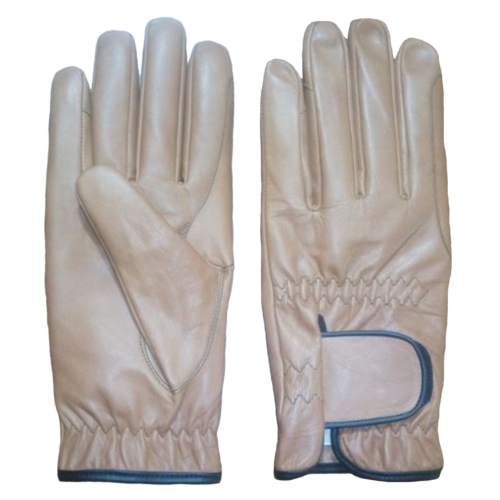 Golf Gloves