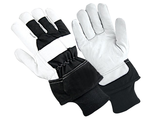 Winter Gloves