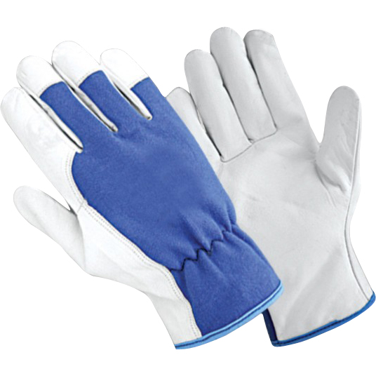 Winter Gloves